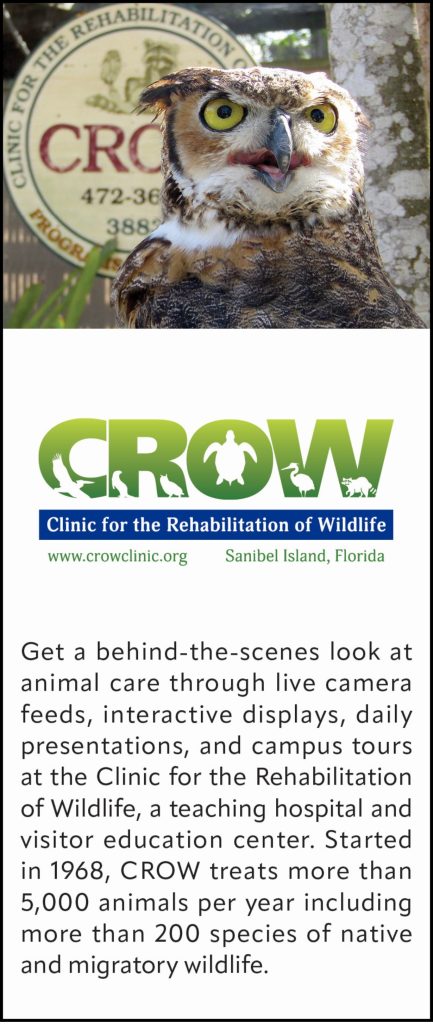 An owl with yellow eyes is perched in front of a CROW sign.