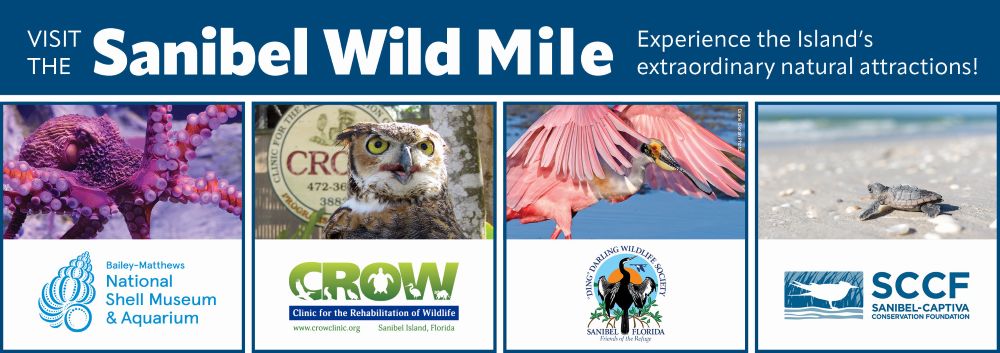 A blue and white graphic with photos of an owl, pink spoonbill, octopus and baby turtle to advertise the Sanibel Wild Mile.