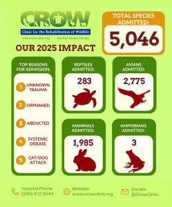A green and brown graphic depicts CROW's impact in 2025, with 5046 admitted species.
